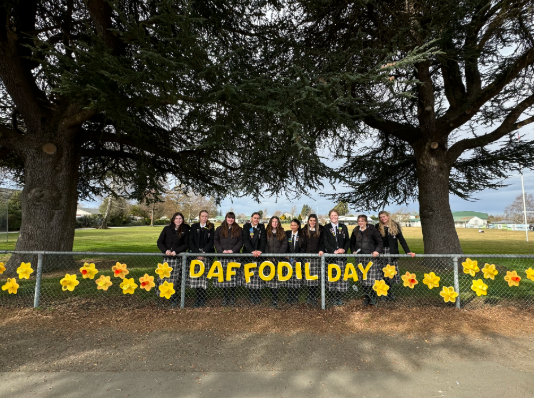 Daffodil Day