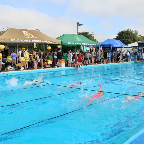 Junior Swimming Sports