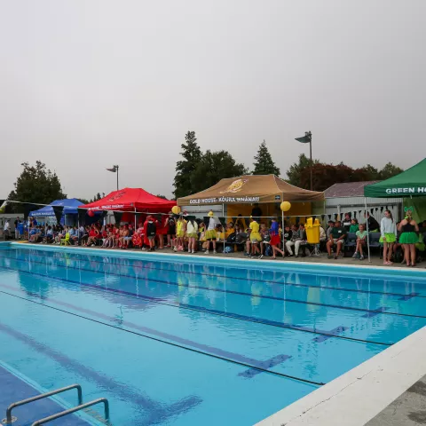 Junior Swimming Sports