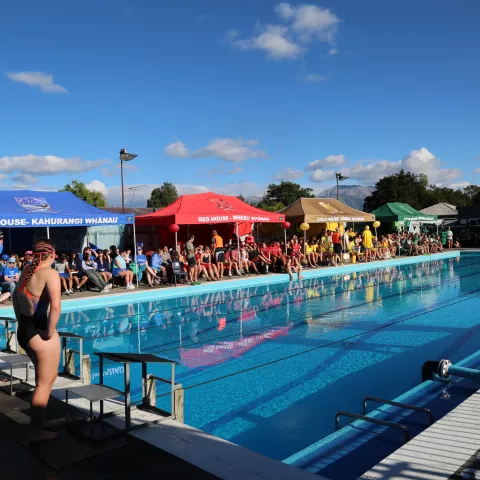 Senior Swimming Sports 